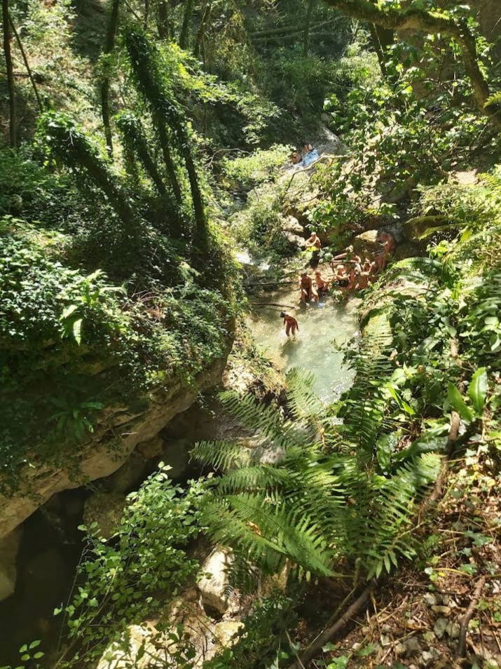 Kolokation Provincia di Lucca 267206