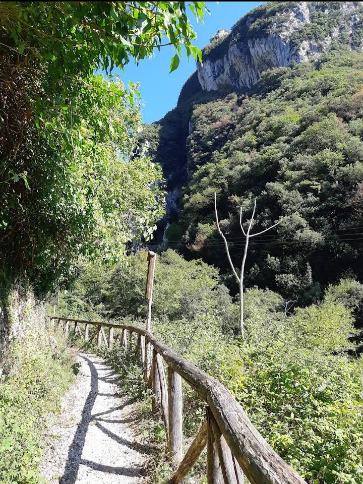 Kolokation Provincia di Lucca 267206