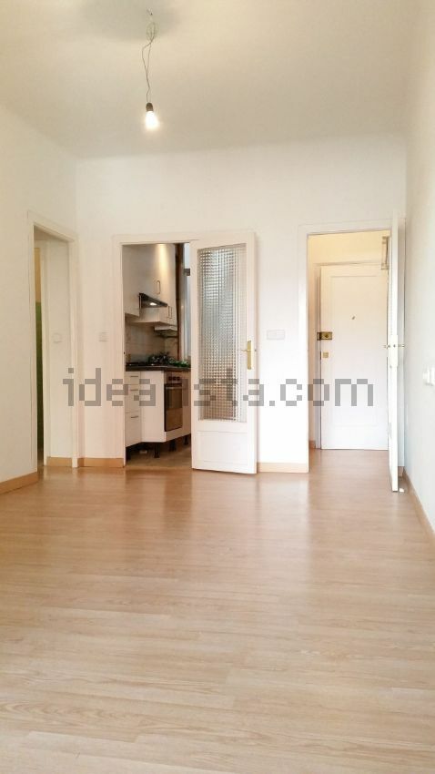 Kolokasie Barcelona 96479