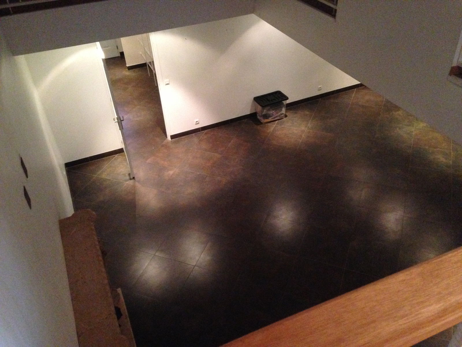 Kolokasie Amiens 125130