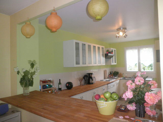 Kolokasie Cergy 47434