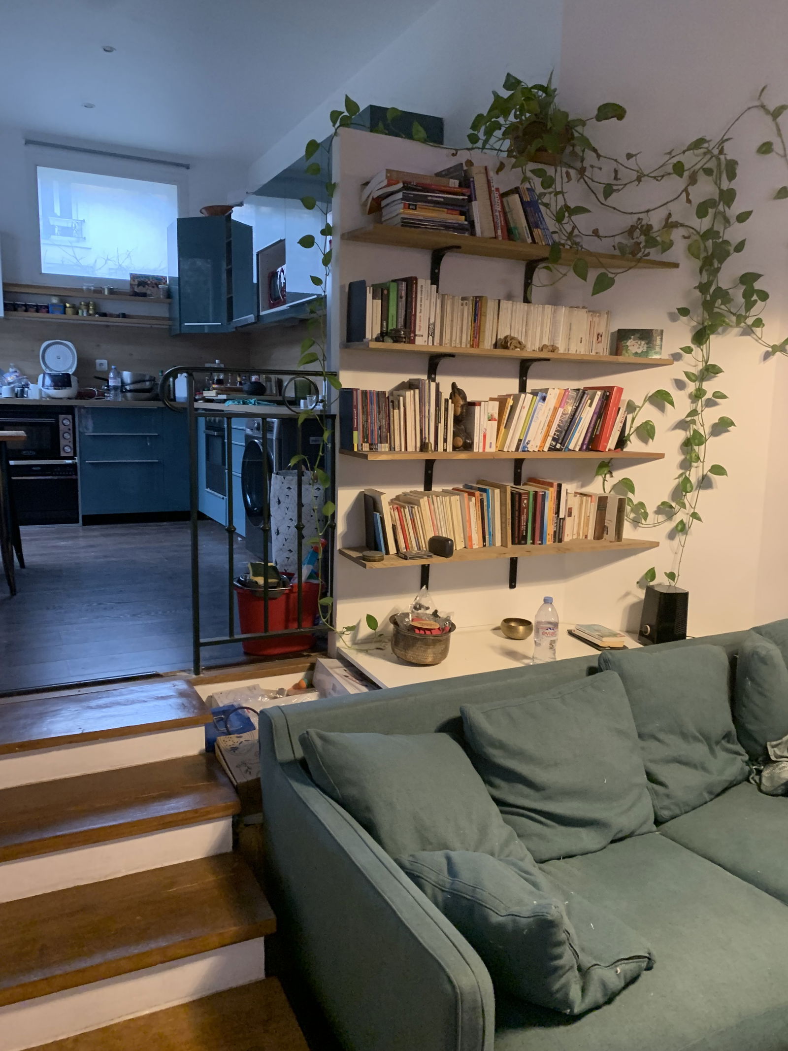 Kolokasie Vanves 478537