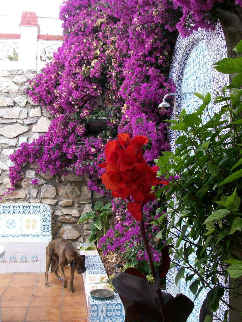 Gastenkamers Almuñécar 60949