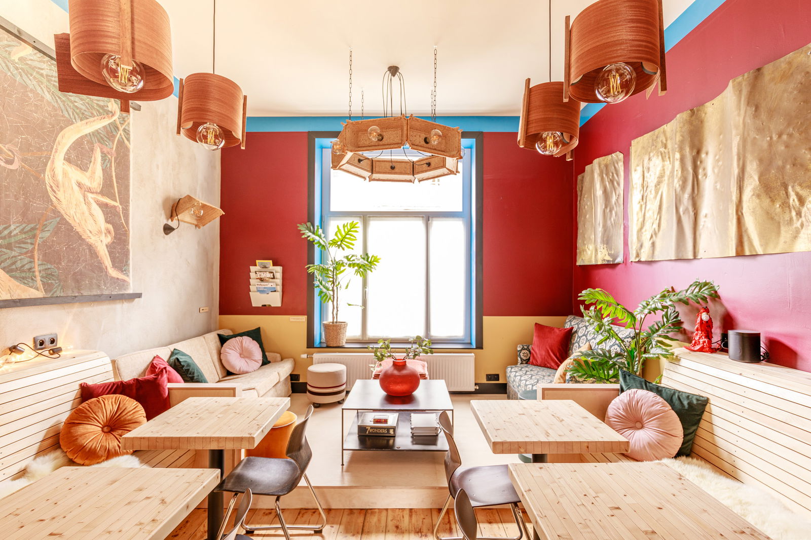 Kolokasie Ixelles 249473