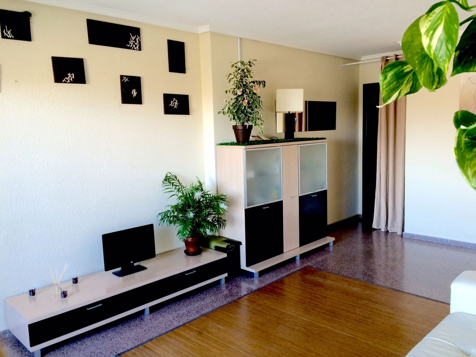 Kolokasie Arenals del Sol 122402