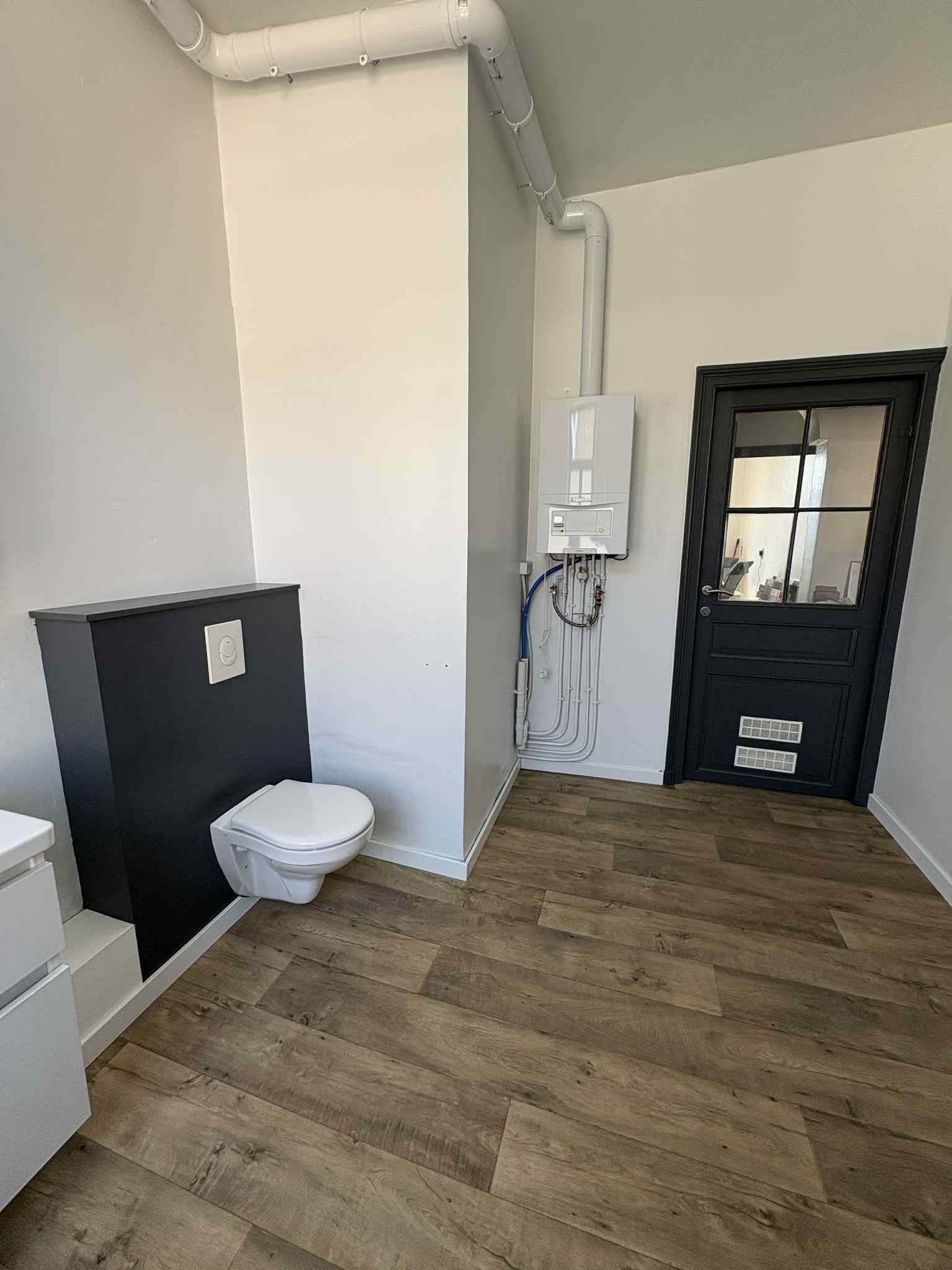 Kolokasie Charleroi 559941