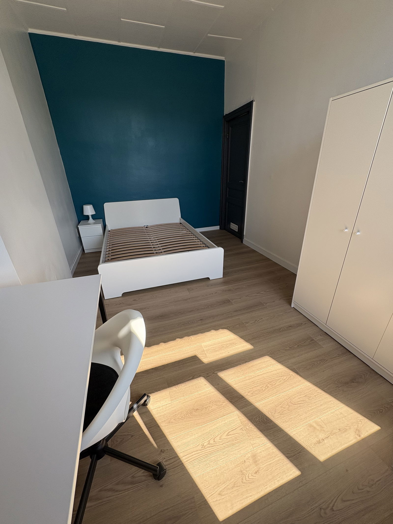 Kolokasie Charleroi 559941