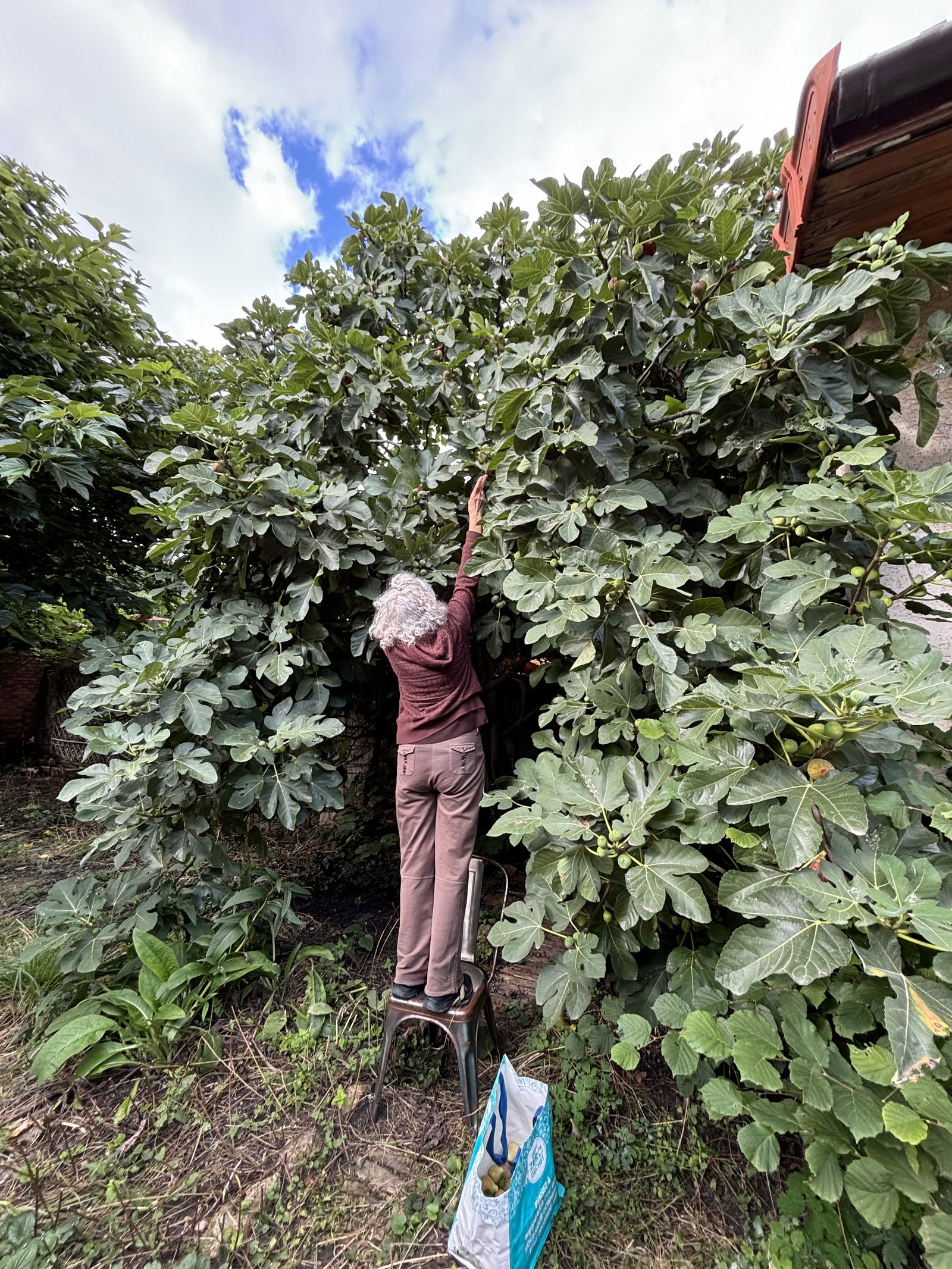 Colocatie Bobigny 478345