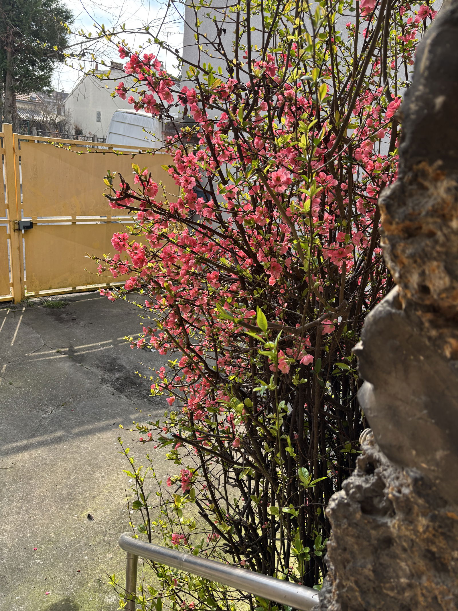 Colocatie Bobigny 478345