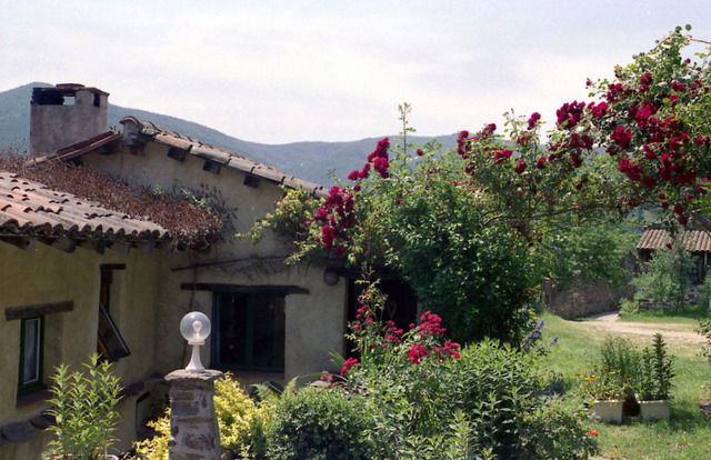 Colocatie Le Bosc 59666