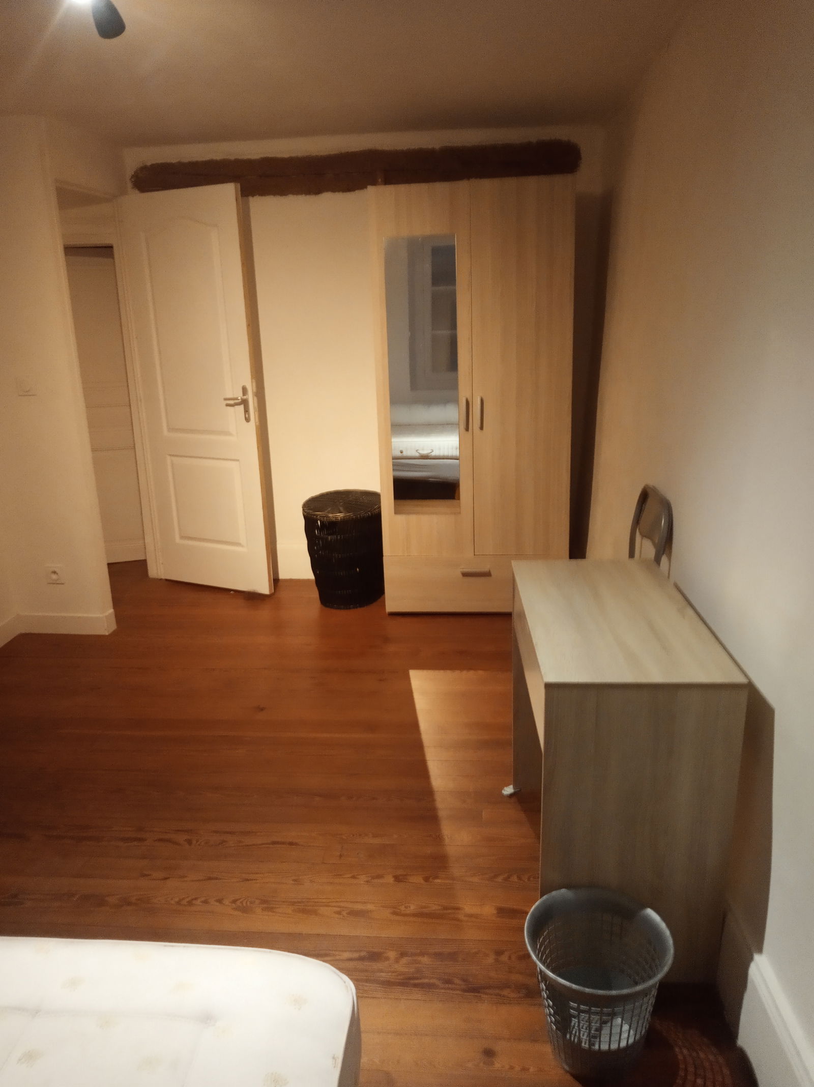 Kolokasie Saint-Amand-Montrond 608484