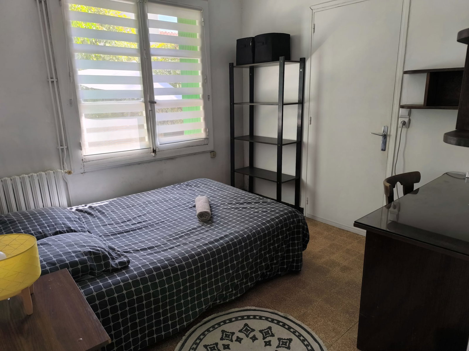 Kolokasie Montpellier 509930