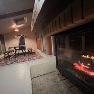 Kolokasie La Roche-sur-Yon 642547