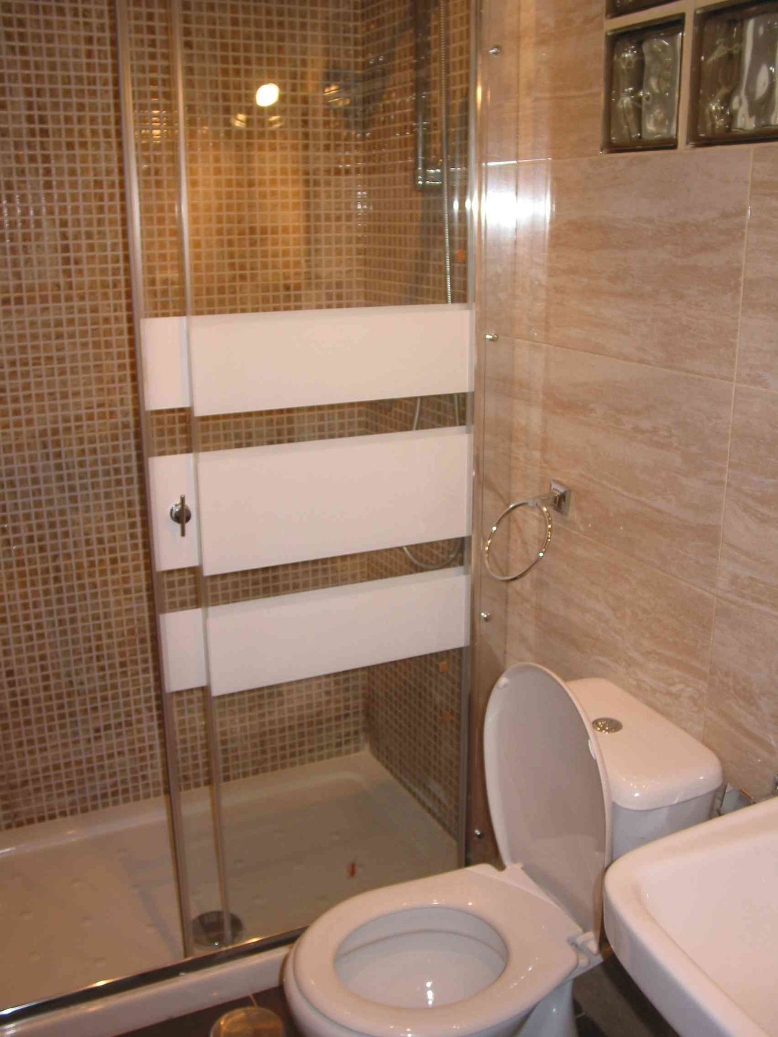 Kolokasie Madrid 120837