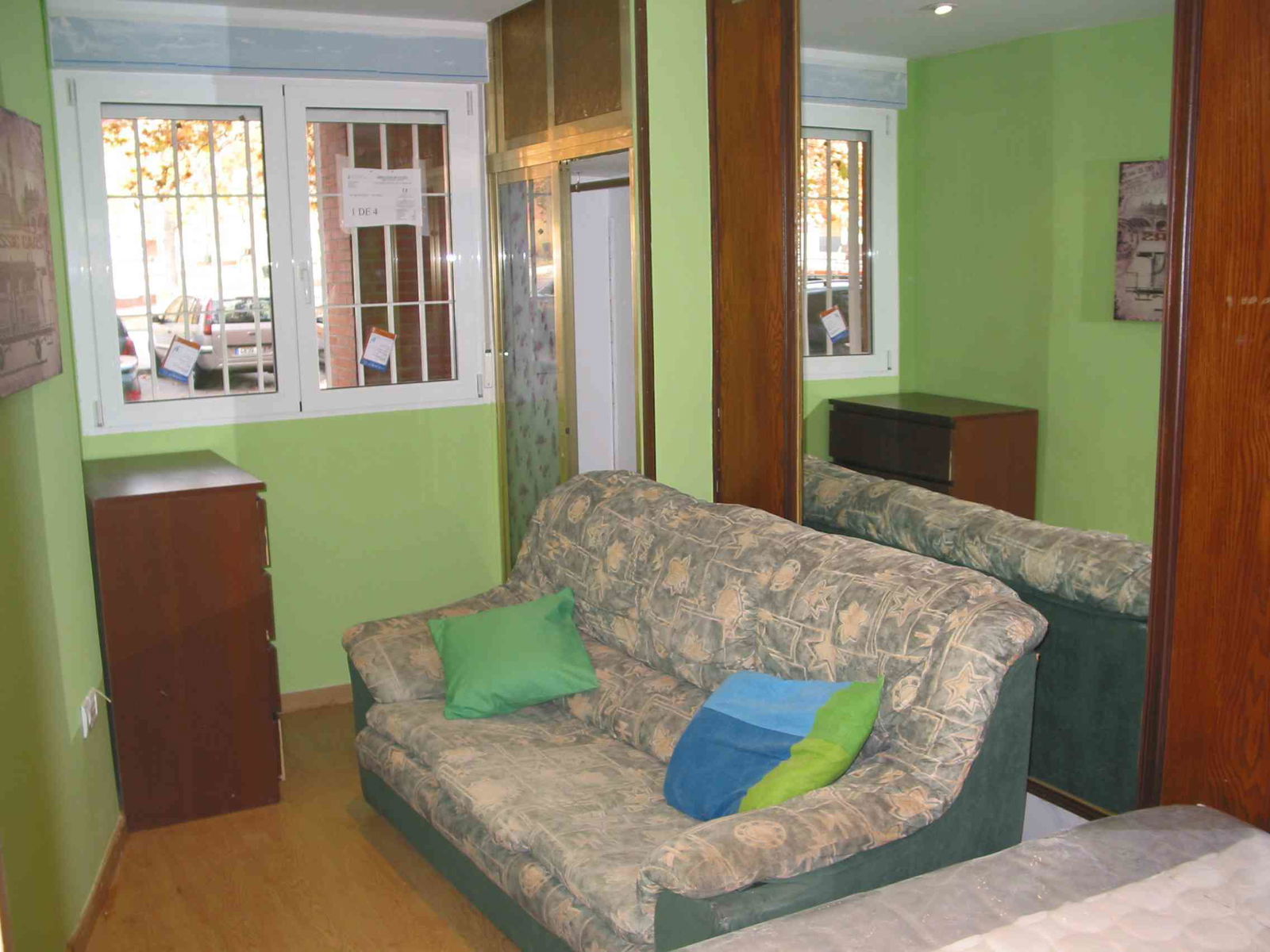 Kolokasie Madrid 120837