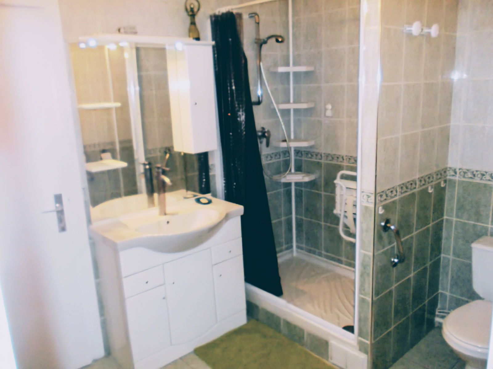 Colocatie Grenoble 496336