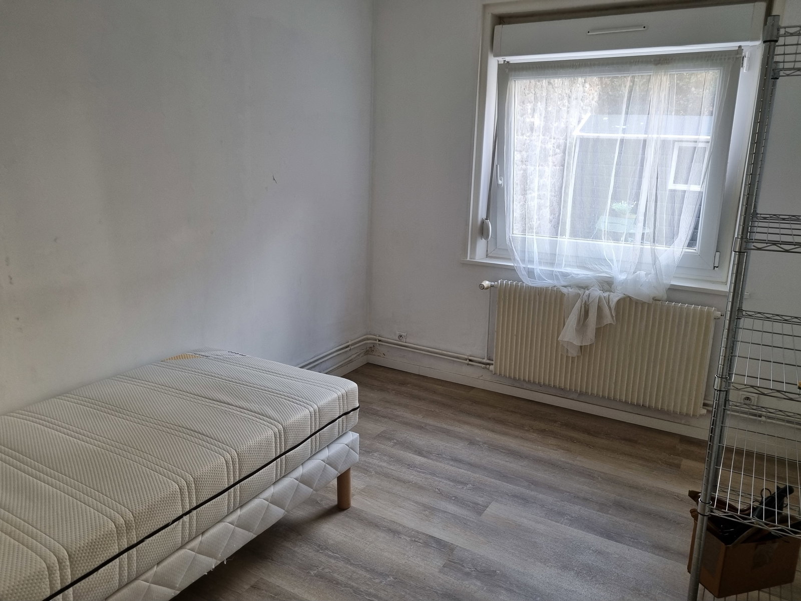 Kolokasie Boulogne-sur-Mer 521528