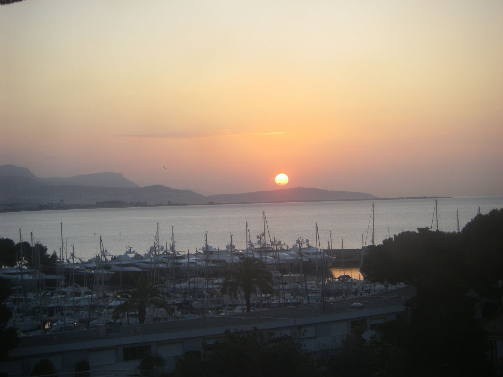 Colocatie Villeneuve-Loubet 249344