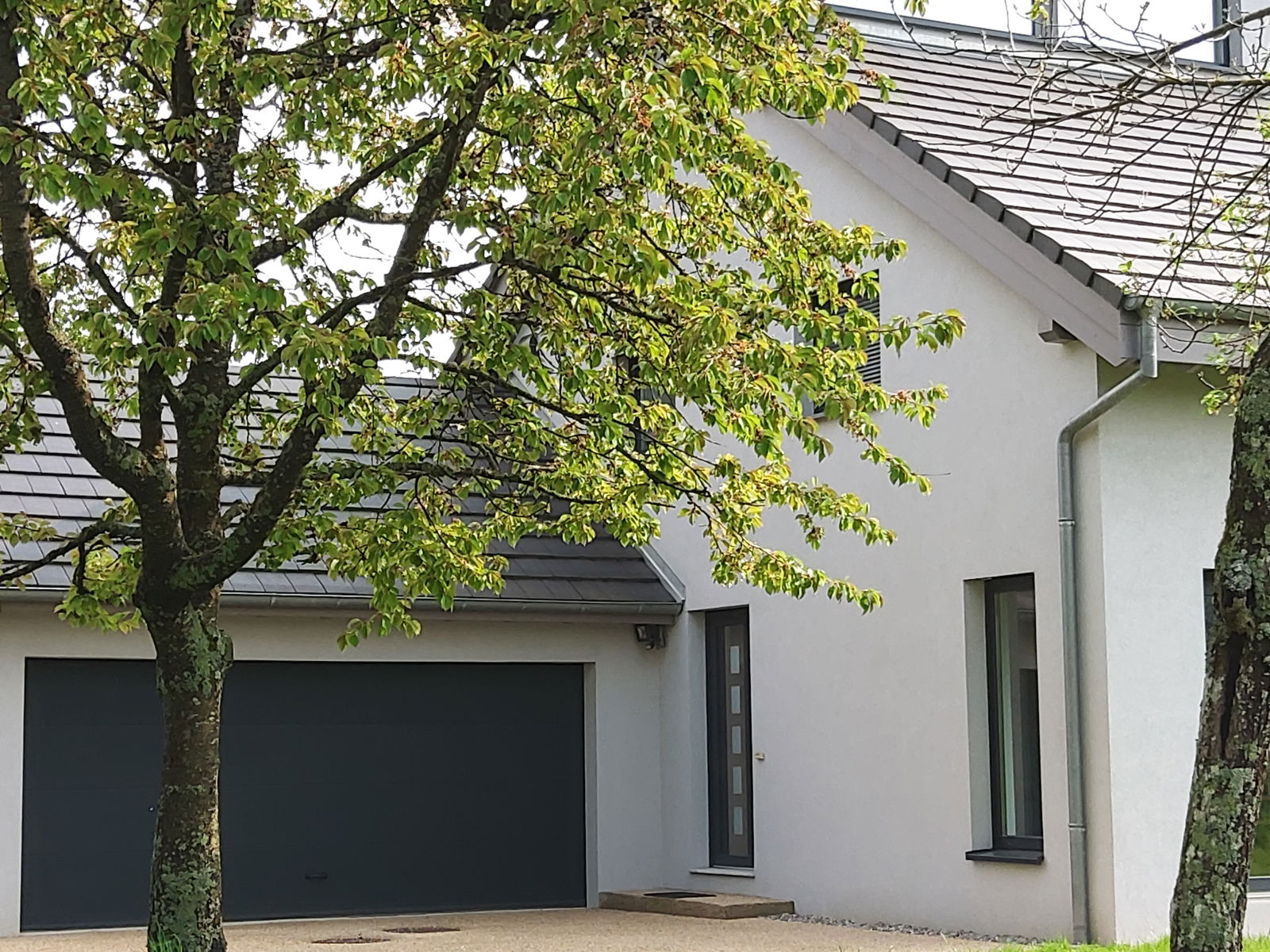 Colocatie Ballersdorf 556840