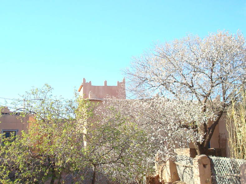 Hele Huis Souk El-Khémis Dades 230825-2