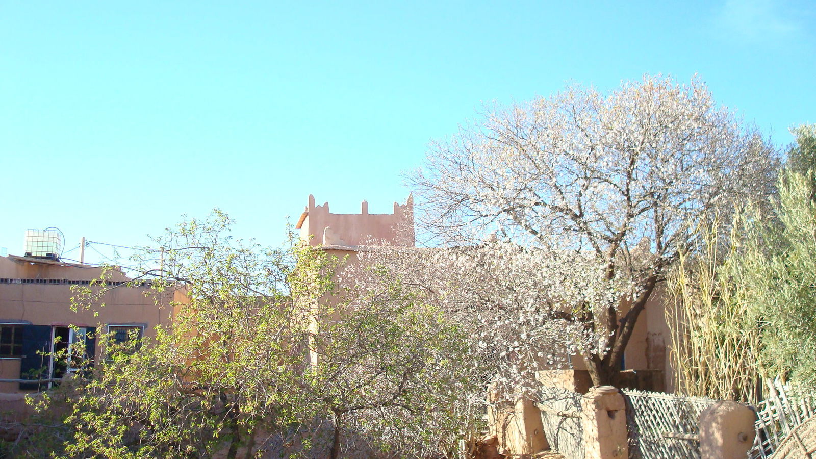 Tutta La Casa Souk El-Khémis Dades 230825