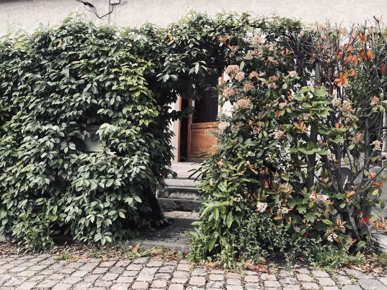 Itsenäinen Studio Caluire-et-Cuire 248597