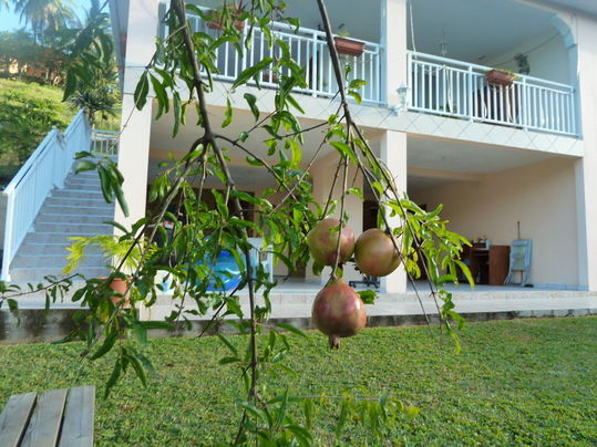 Hele Huis Le Diamant 124139