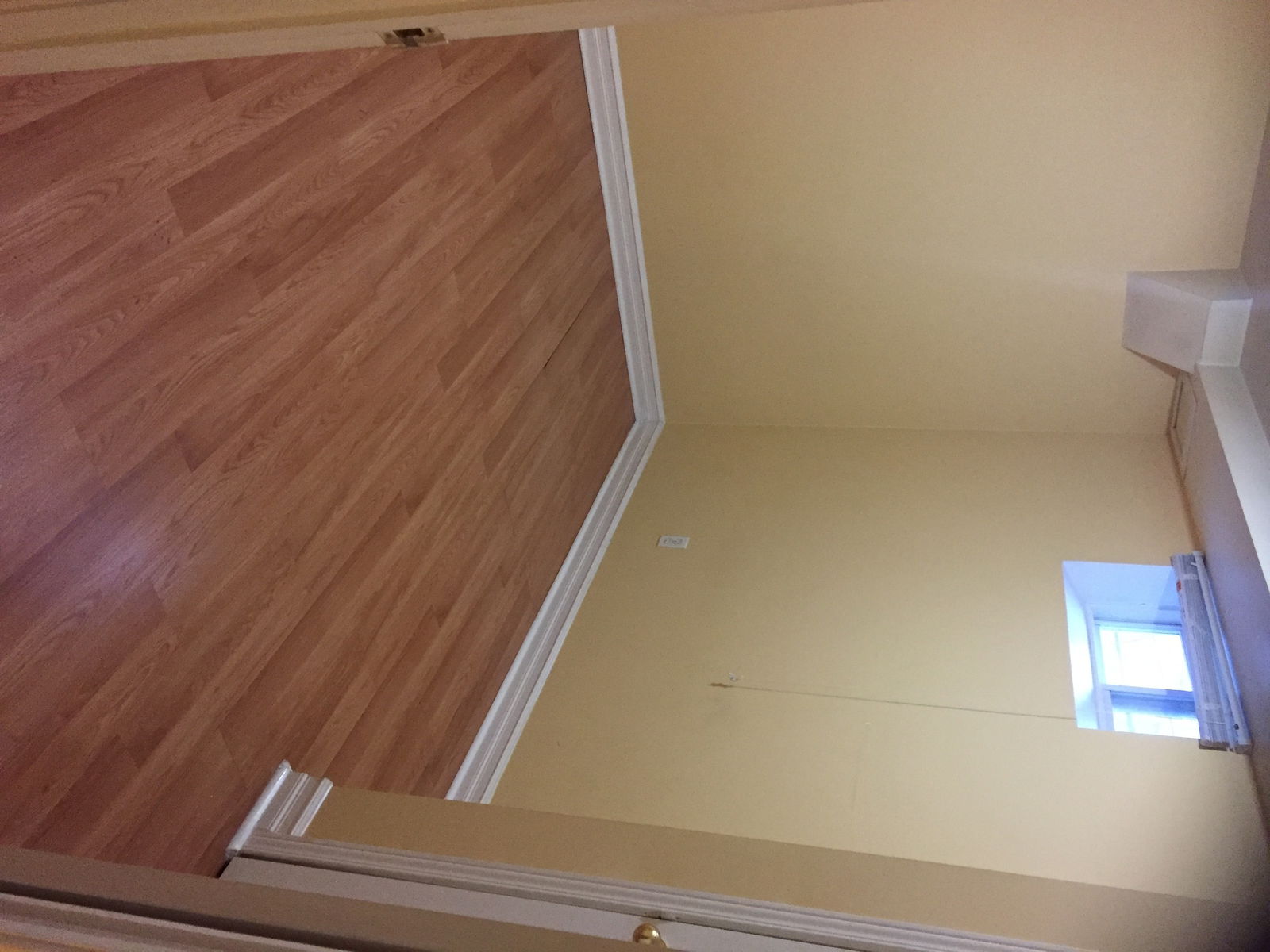 Homestay Toronto 168355