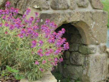 Logement Entier Baden 64234-10