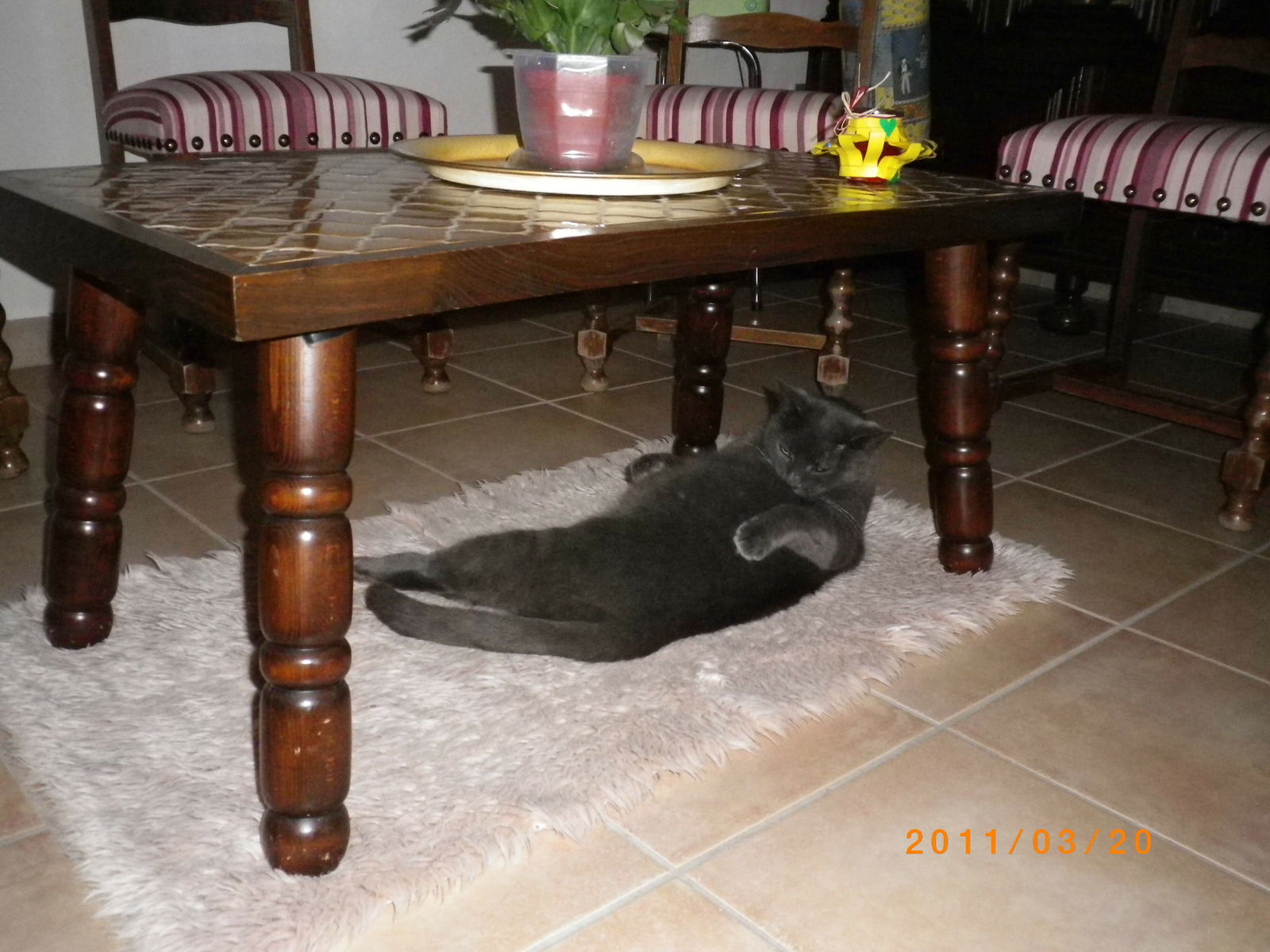 Kolokation Nonglard 182247