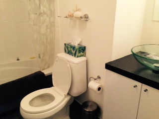 Tuisverblyf Montréal 110924