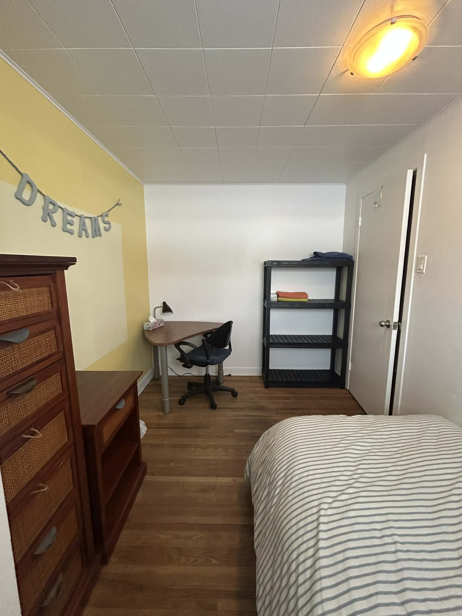 Kolokasie Québec 466991