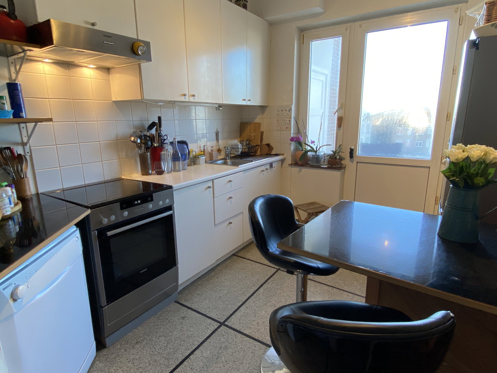 Kolokasie Forest 649097