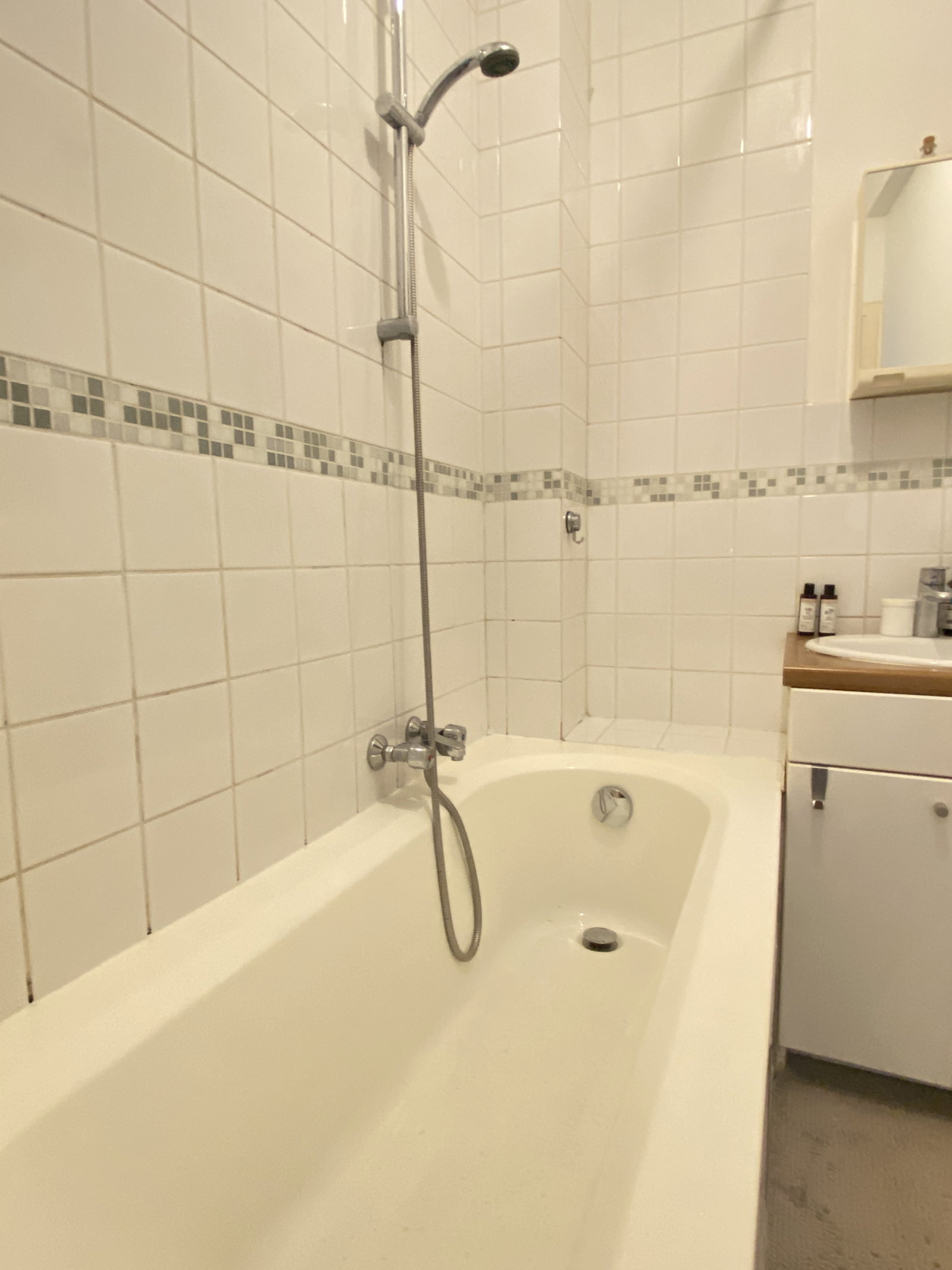 Kolokasie Forest 649097