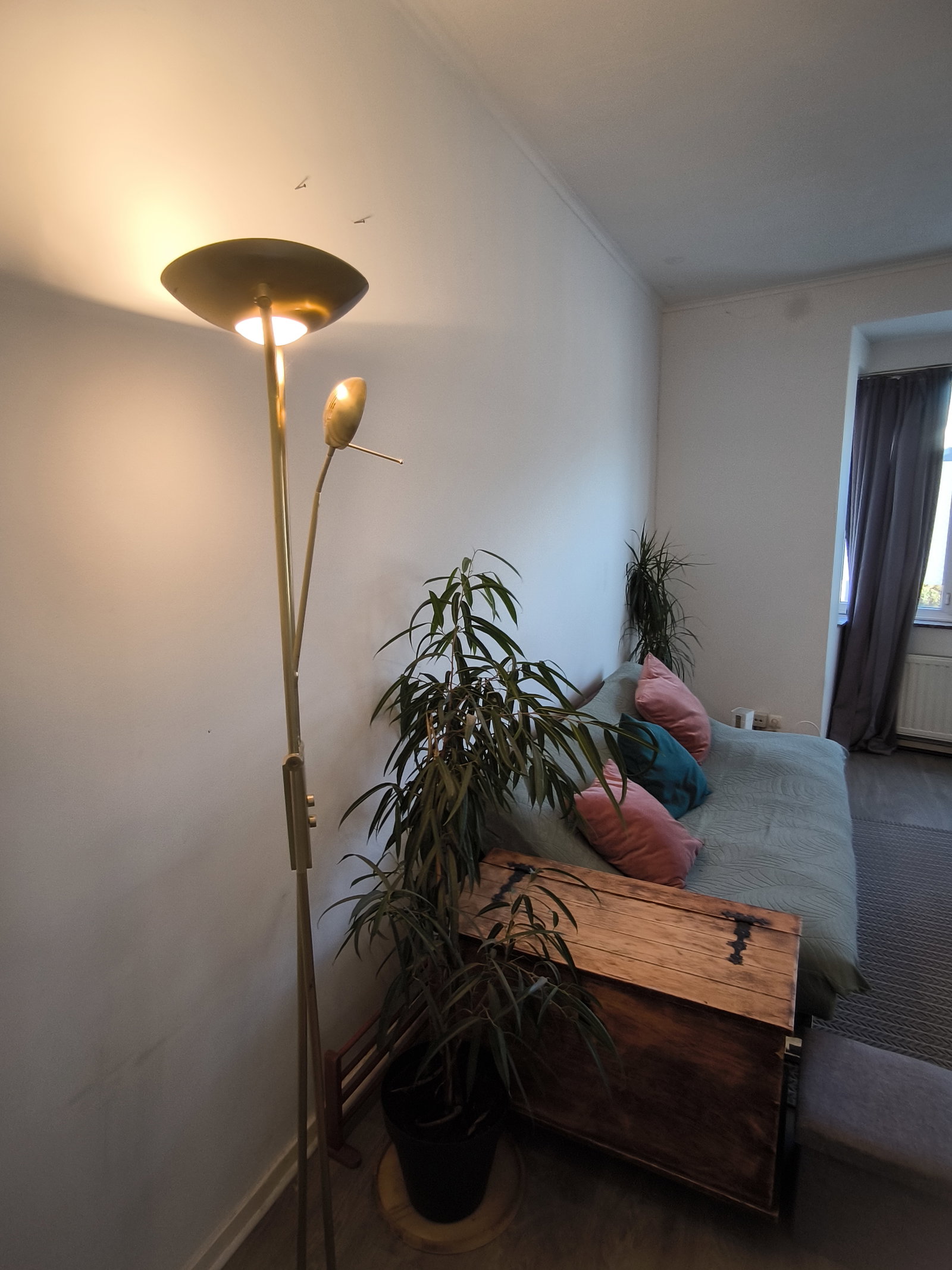 Colocatie Forest 649097