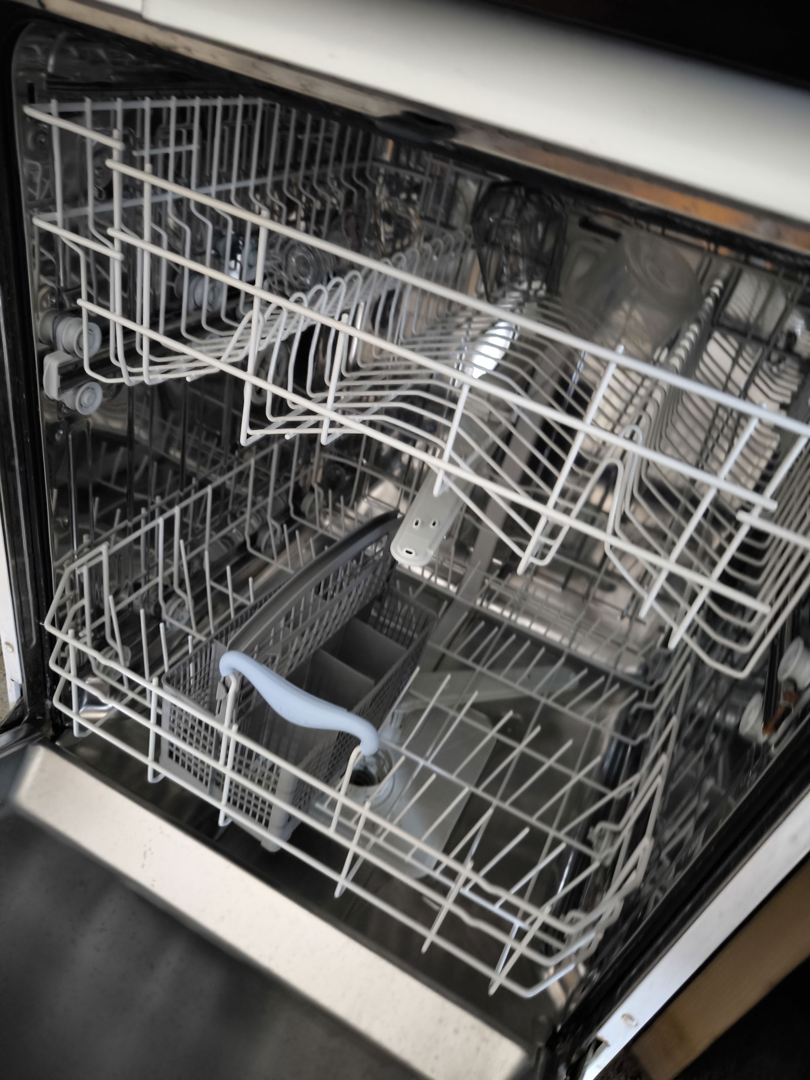 Colocatie Forest 649097