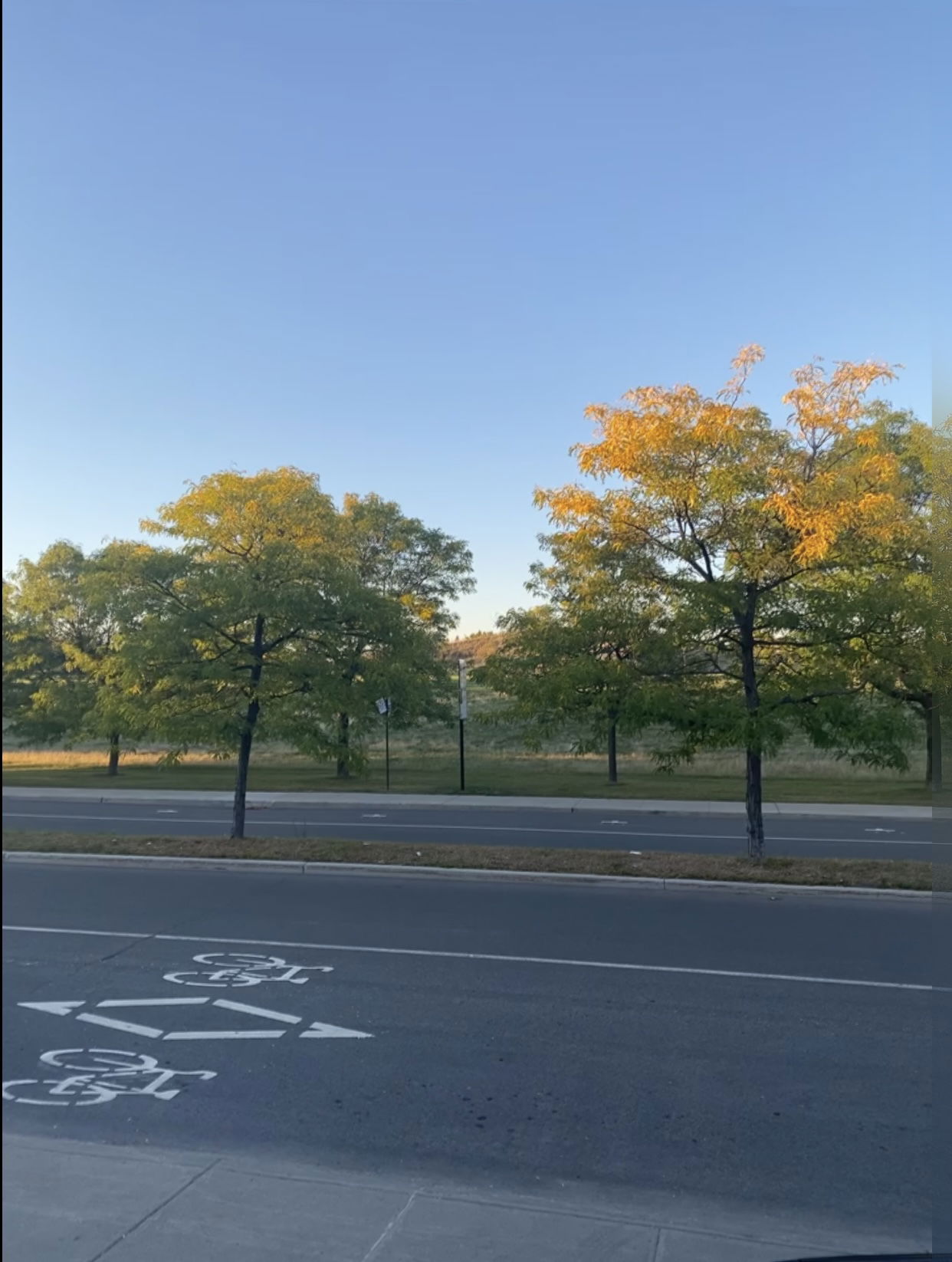 Gastfamilie Montréal 264068