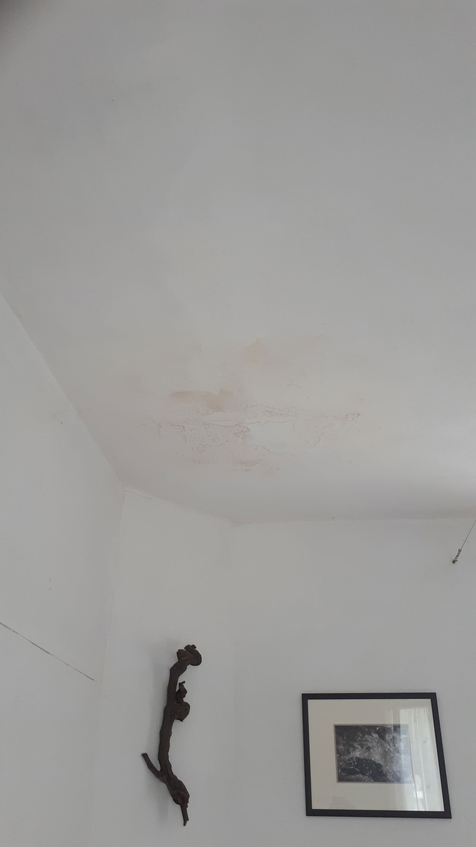 Unabhängiges Studio Monthey 484880