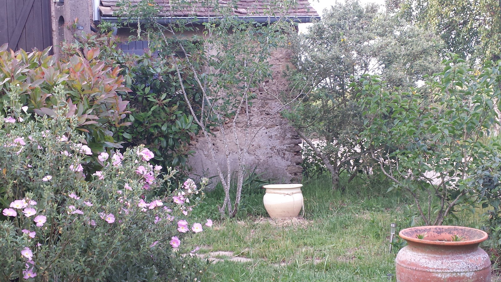 Gastfamilie Savigné-l'Évêque 231865