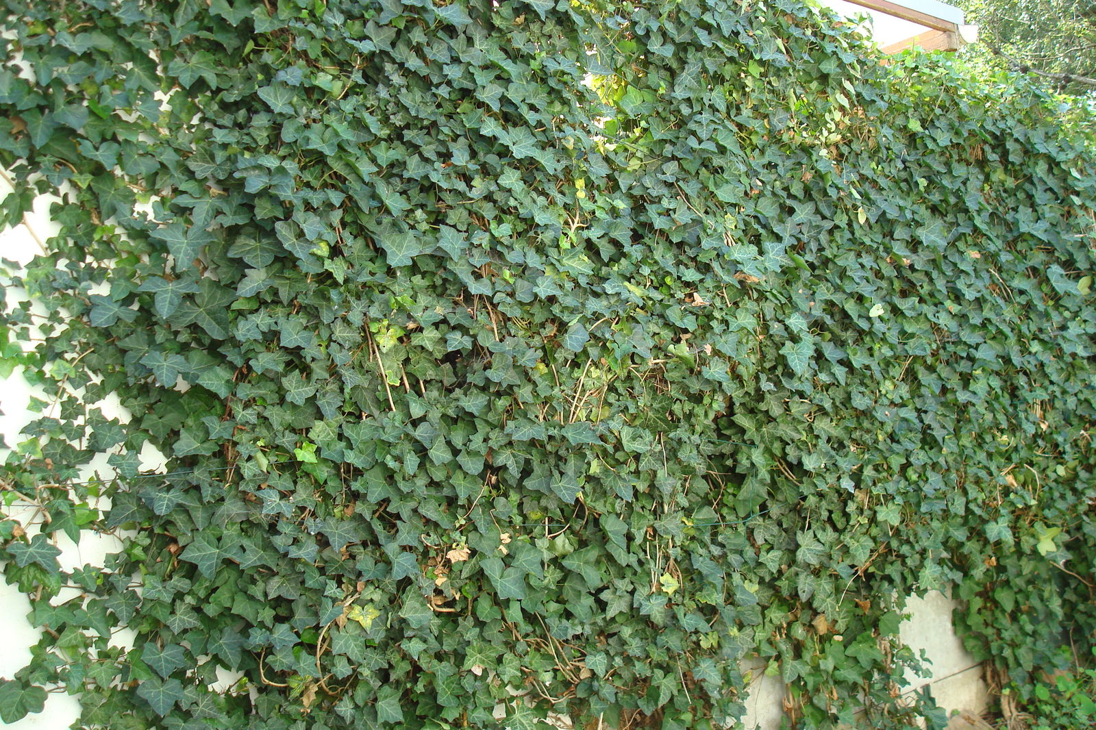 Unabhängiges Studio Mons-en-Barœul 85916