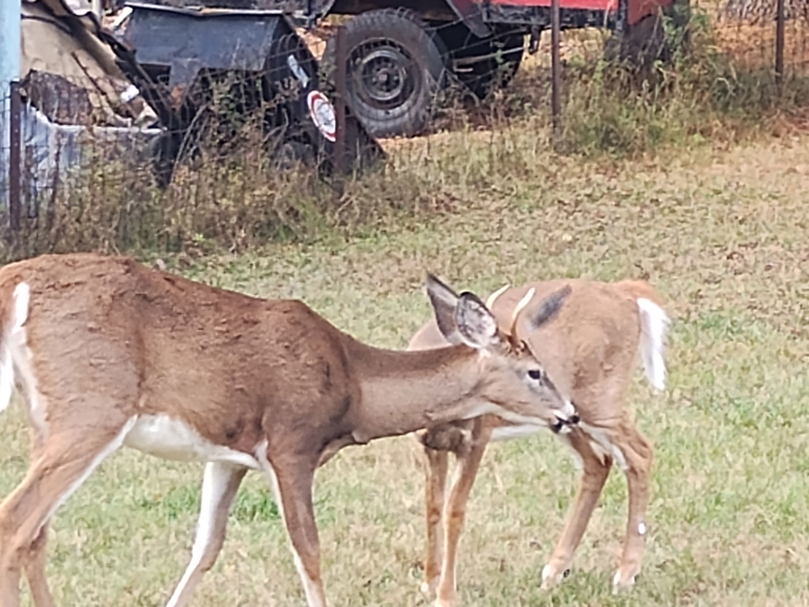 Unabhängiges Studio Nominingue 300874