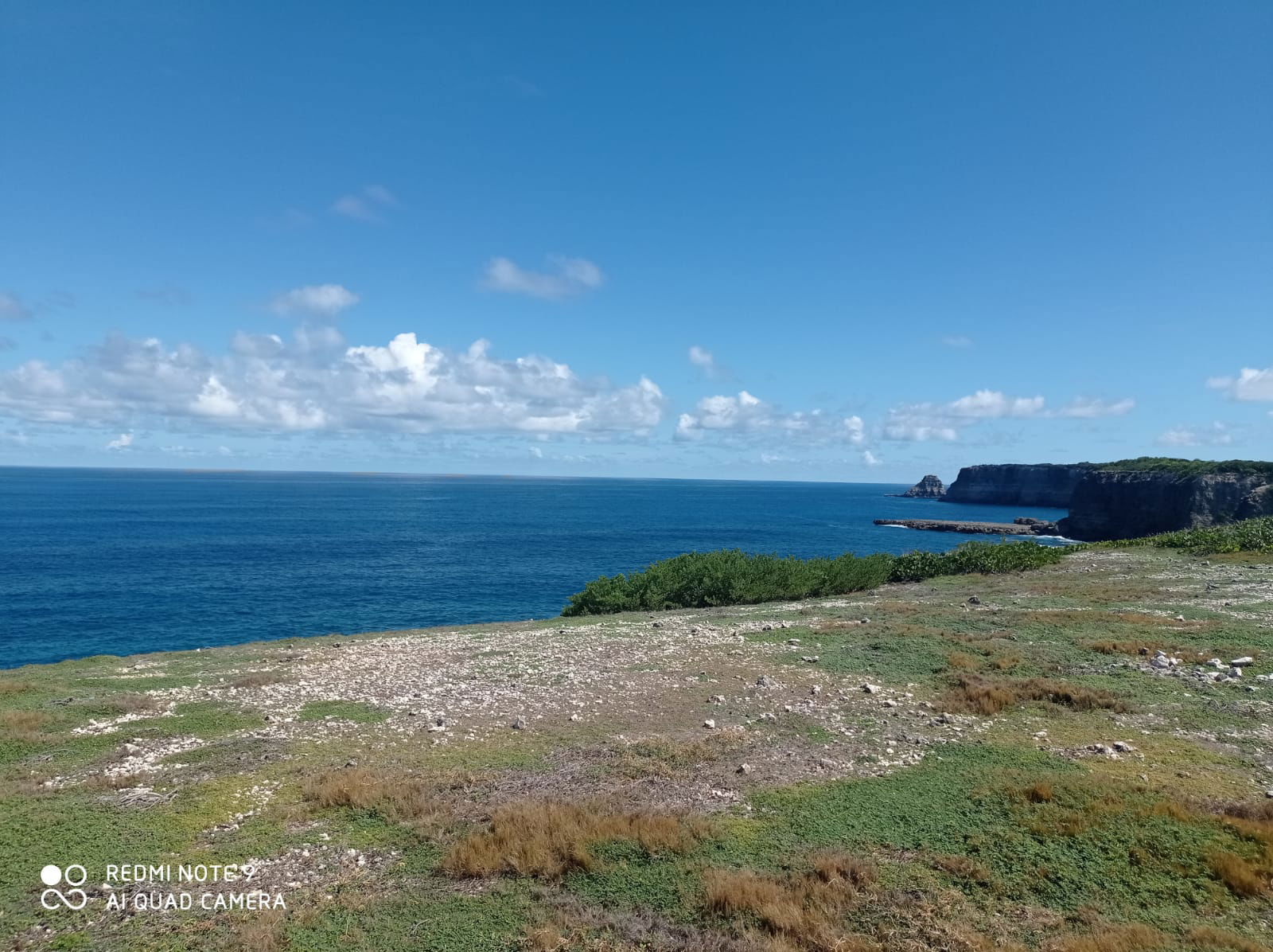 Gastfamilie Anse-Bertrand 353309