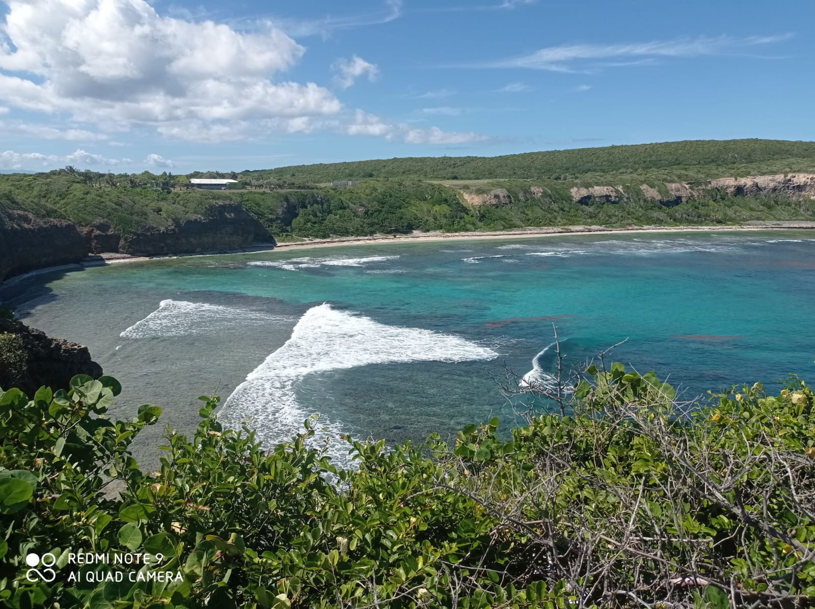 Gastfamilie Anse-Bertrand 353309