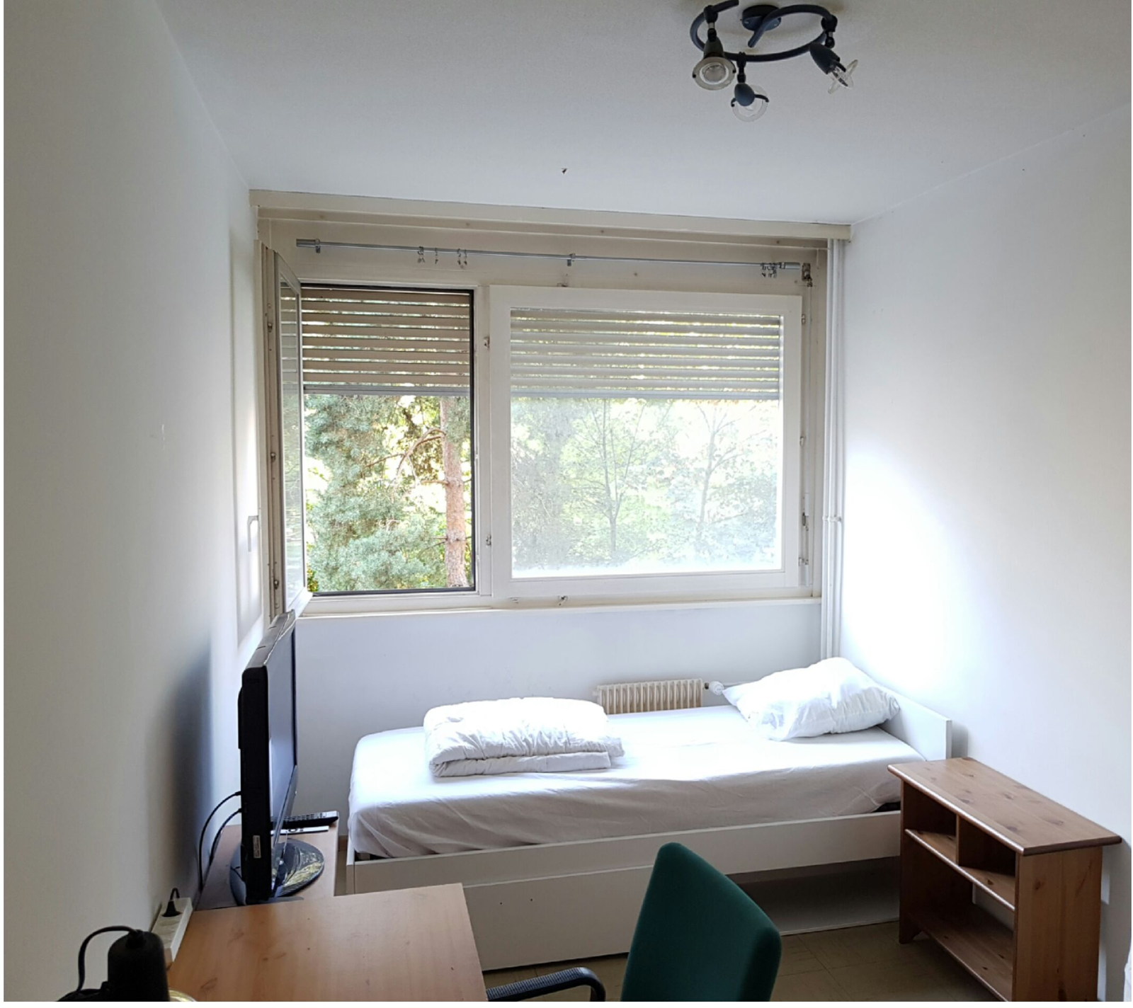 Gastfamilie Genève 255934