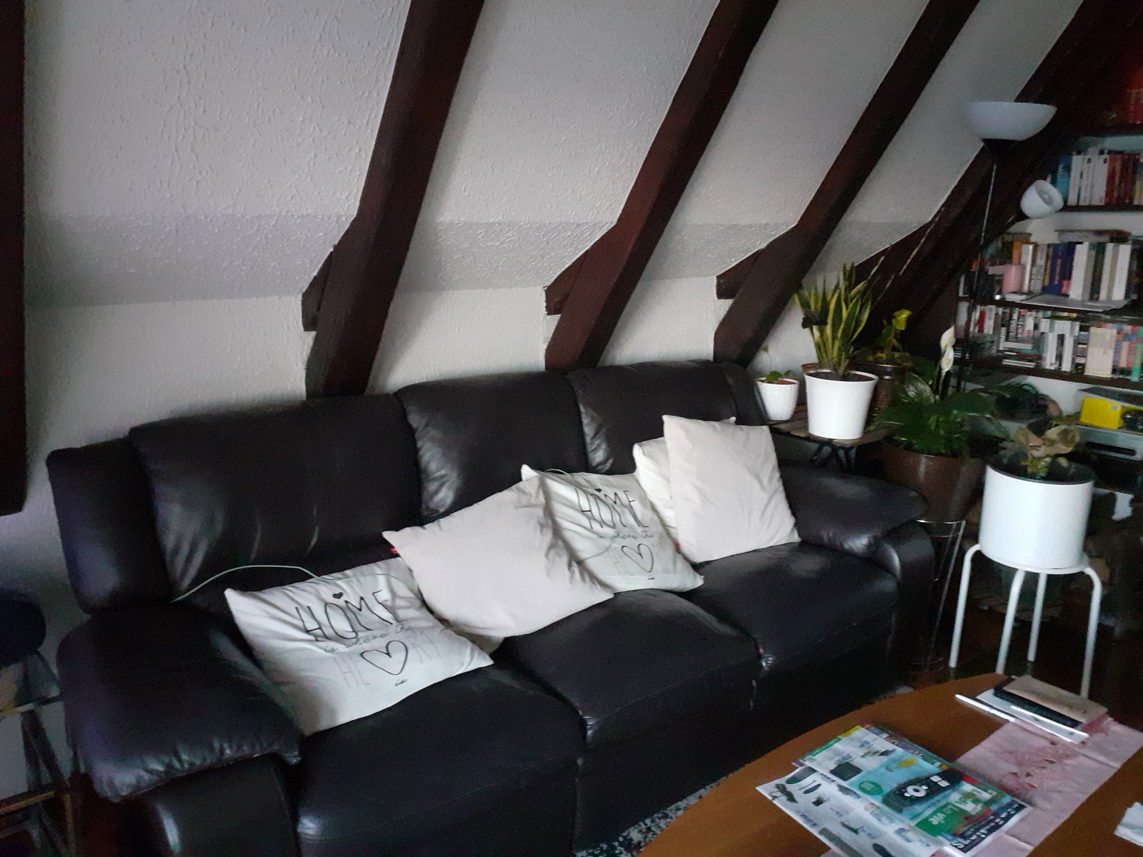 Gastfamilie Neuchâtel 663653