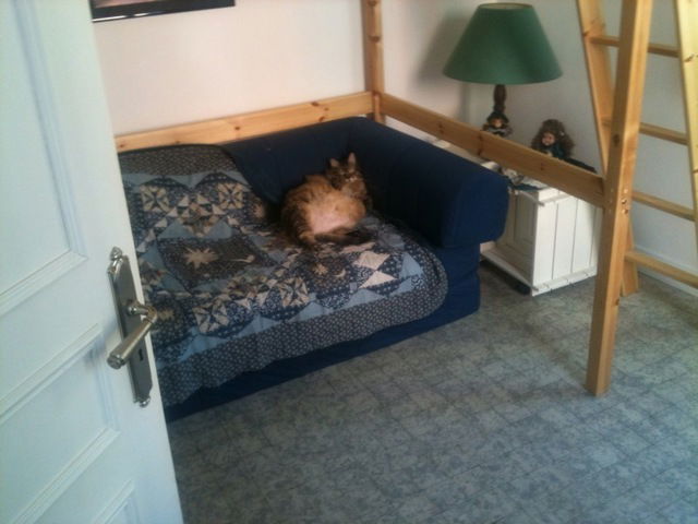 Gästezimmer Nice 10455