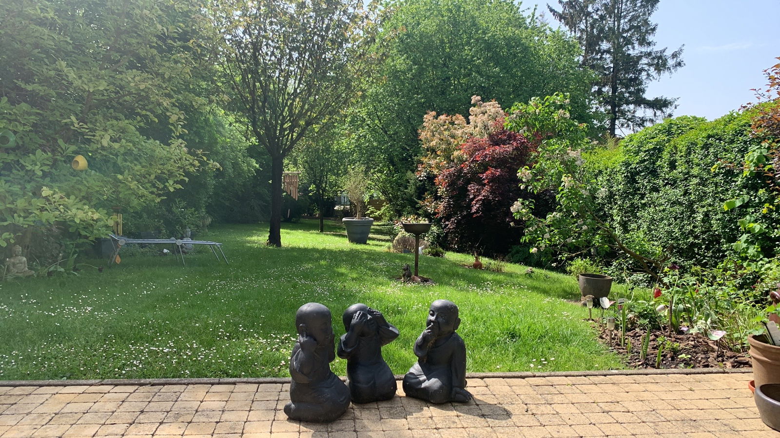 Zusammenleben Waterloo 433343