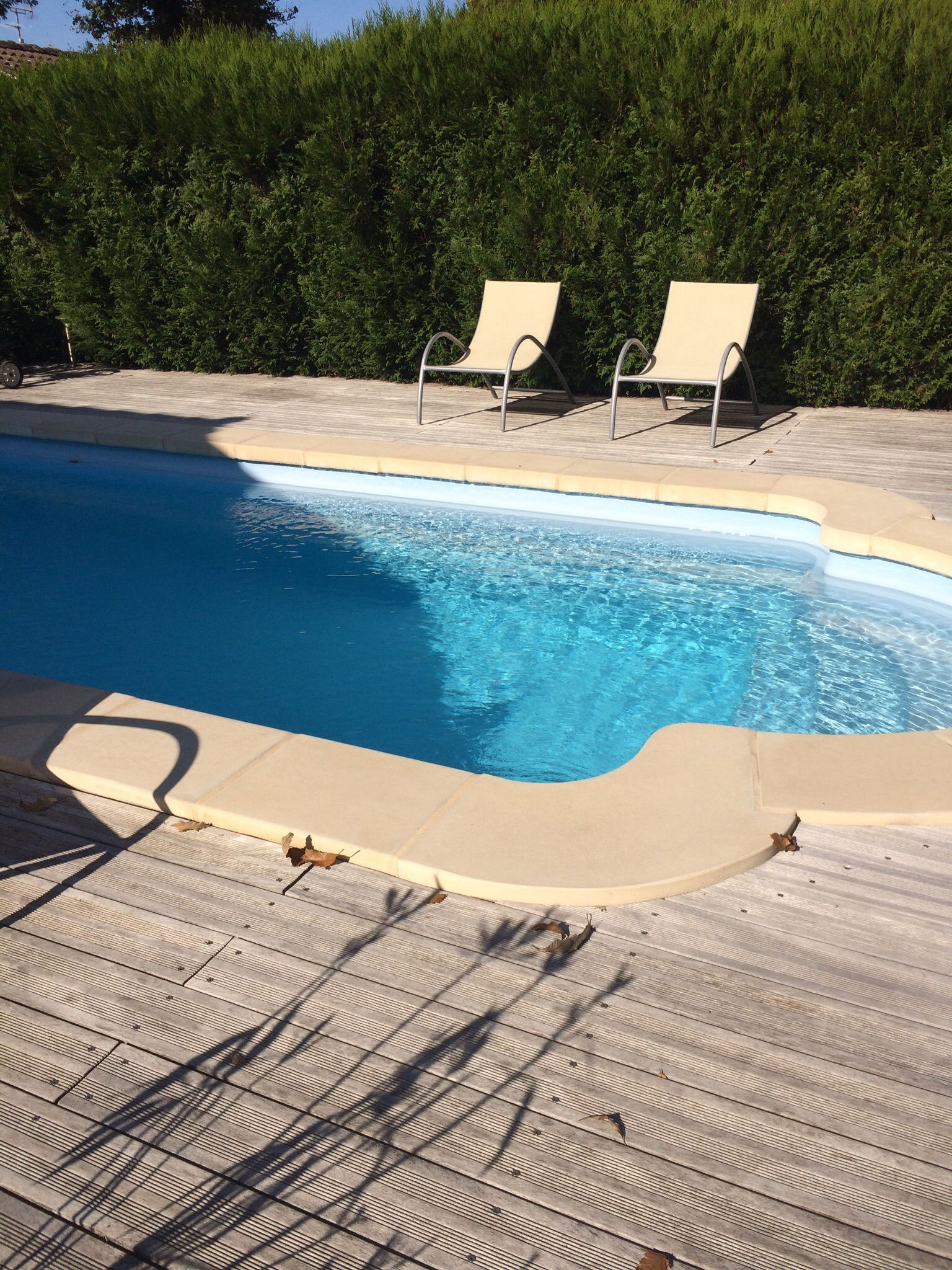 Homestay Mont-de-Marsan 36563