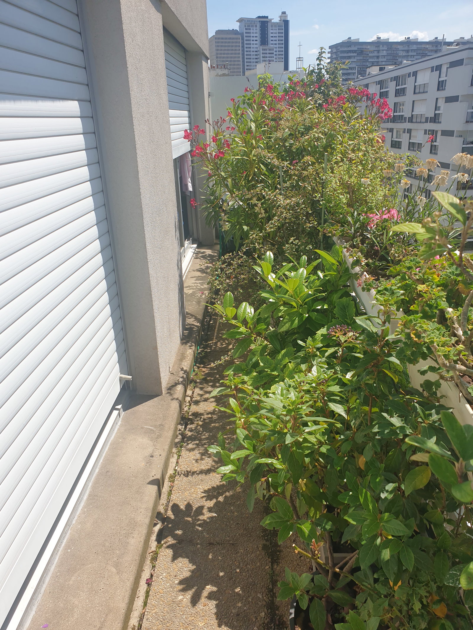 Homestay Paris 465617