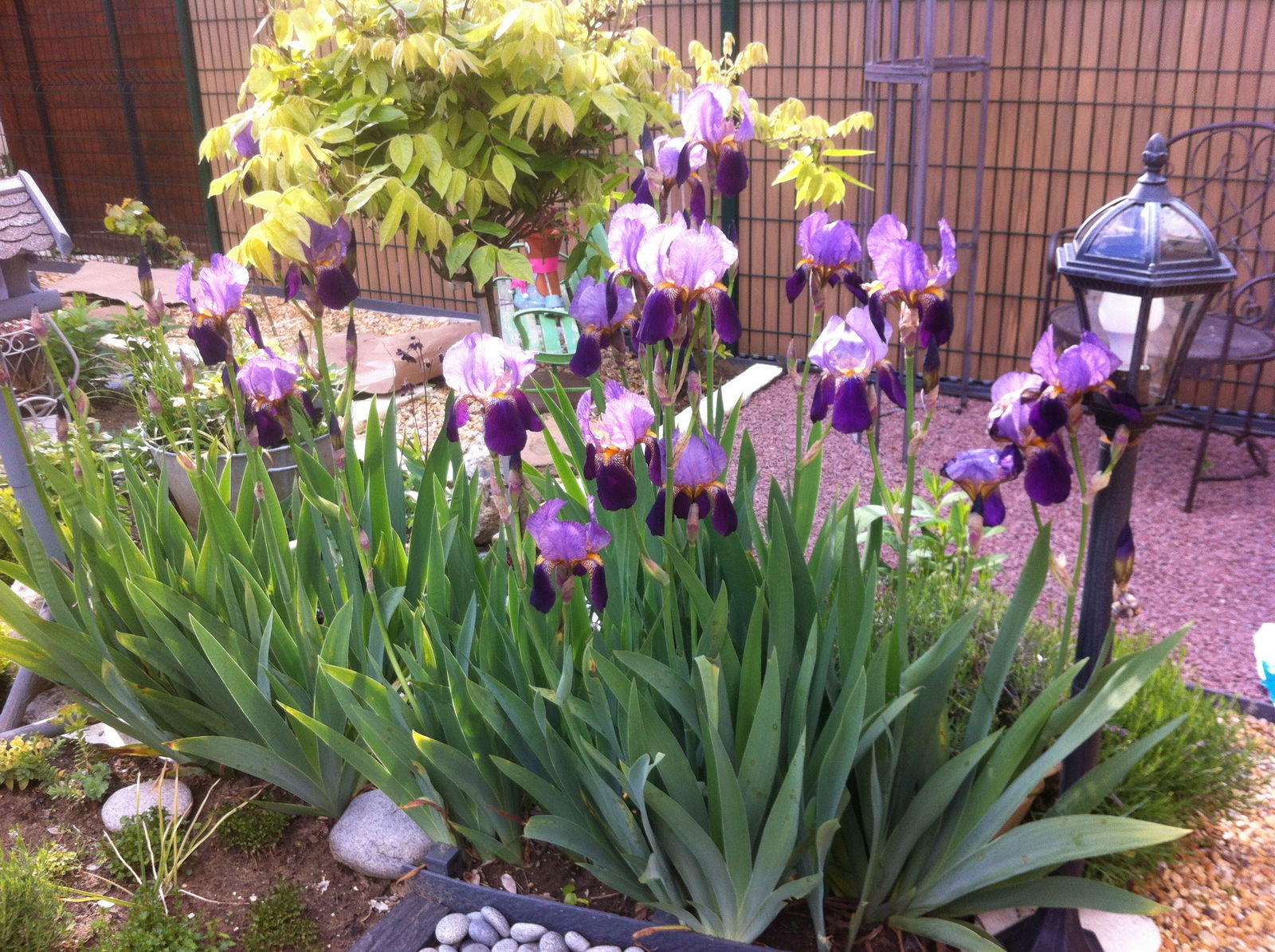 Gastfamilie Laon 241595